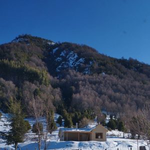 Arriendo de cabaña en el sur de chile